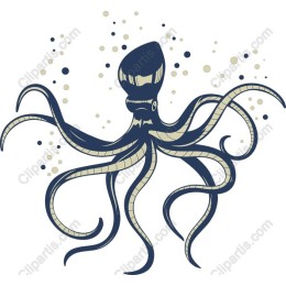 Elegant Octopus