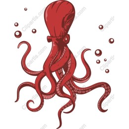 Vibrant Red Octopus