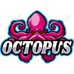 Vivid Octopus