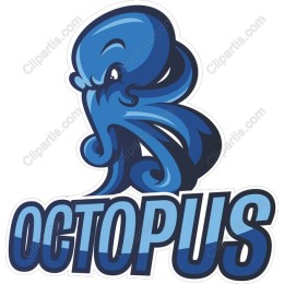 Vibrant Octopus
