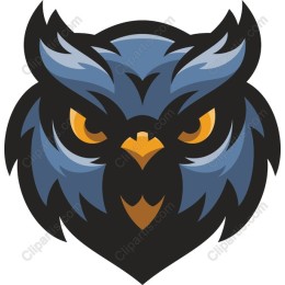 Blue Owl