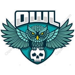 Owl with Skull