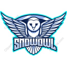 Snow Owl - Available