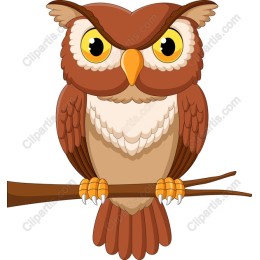 Wise Owl