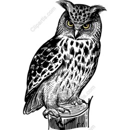 Majestic Owl