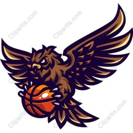 Fierce Basketball Owl