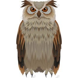 Majestic Owl