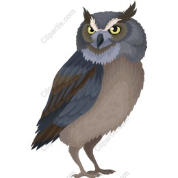 Majestic Owl