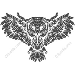 Majestic Owl