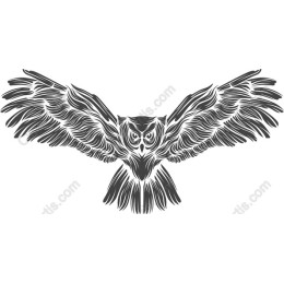 Majestic Flight Owl