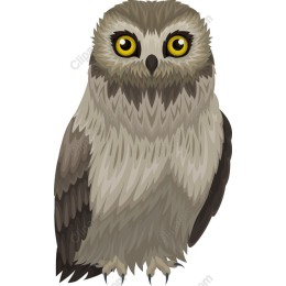 Wise Owl