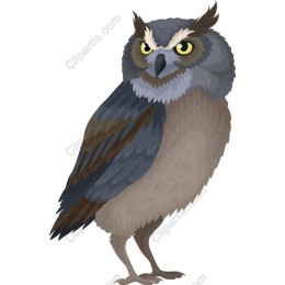 Majestic Owl