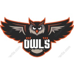 Fierce Owl