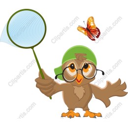 Charming Owl Adventure