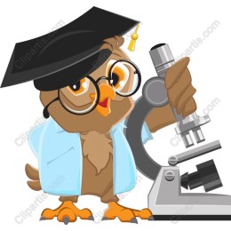 Wise Owl Scientist