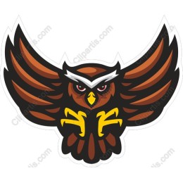 Dynamic Owl