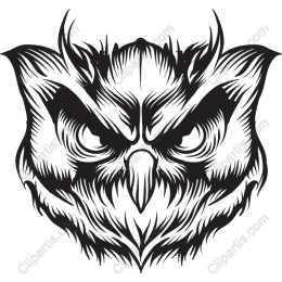 Angry Owl