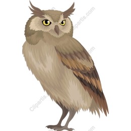 Majestic Owl