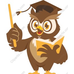 Graduation Owl