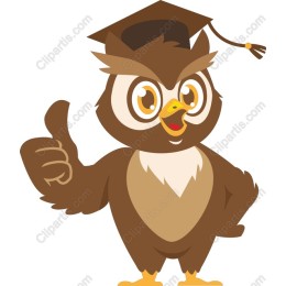 Graduation Owl