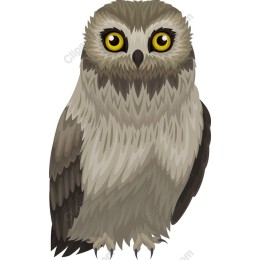 Owl - Wise Night Guardian
