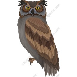 Majestic Owl