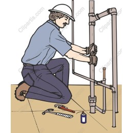 Professional Plumber