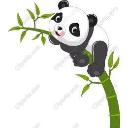 Panda Playtime
