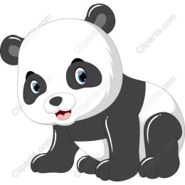 Cute Panda