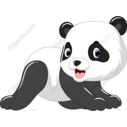 Playful Panda