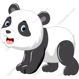 Playful Panda