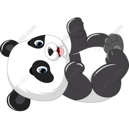 Playful Panda
