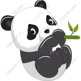 Adorable Panda