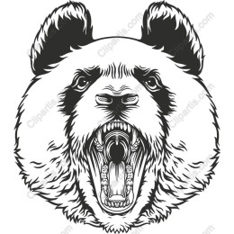 Fierce Black and White Panda Bear
