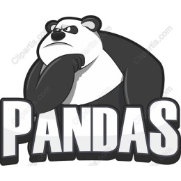 Charismatic Panda