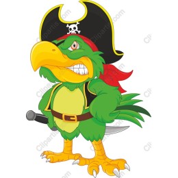 Pirate Parrot Adventure