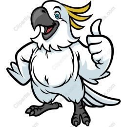 Cheerful Cartoon Cockatoo