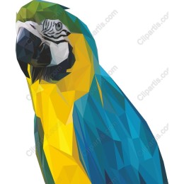 Geometric Parrot