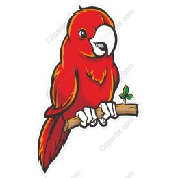 Vibrant Red Parrot