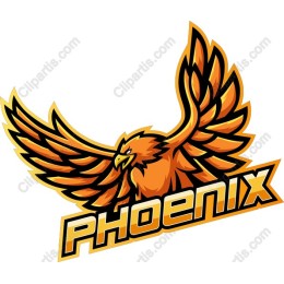 Phoenix