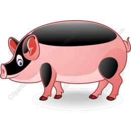 Charming Cartoon Pig