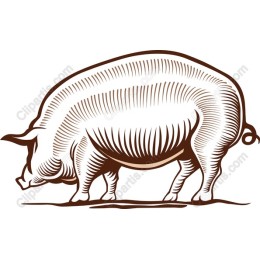 Stylized Pig