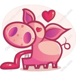 Playful Pig