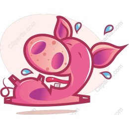 Cartoon Pig