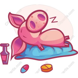 Cute Sleeping Pig