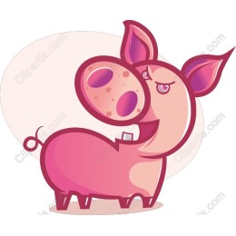 Whimsical Pig