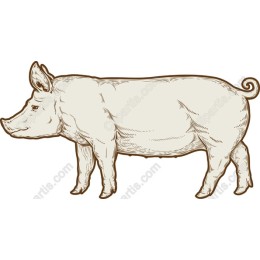 Vintage Pig