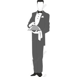 Elegant Waiter