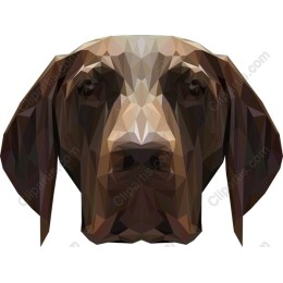 Polygonal Dog Portrait