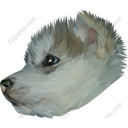 Polygonal Dog Head